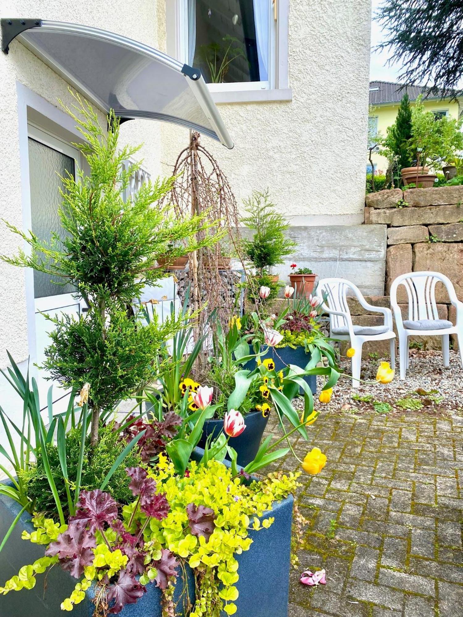 Hotel Haus Marija M Badenweiler Habitación foto